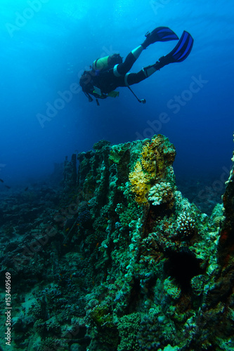 Scuba diver swim over the ribs of very old ship wreck