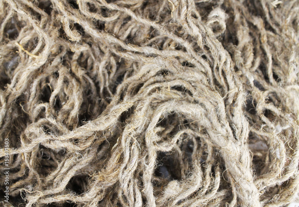 Collection of different ropes mixed with each other on a white background. Can be seen separately. The texture of the rope in the form of a background for sailors, stoics, fishermen Collection of different ropes mixed with each other on a white background. Can be seen separately. The texture of the rope in the form of a background for sailors, stoics, fishermen