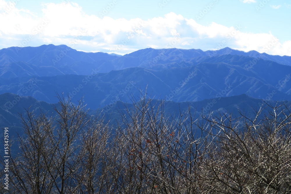 奥武蔵の山々