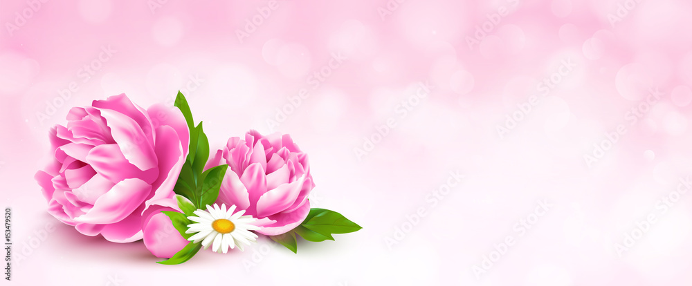 Pfingstrosen mit rosa Bokeh Hintergrund