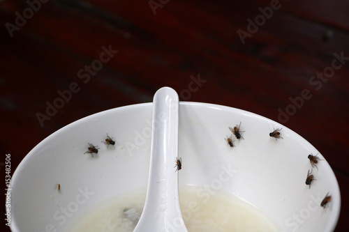 Fly on a plate of food on the table.  