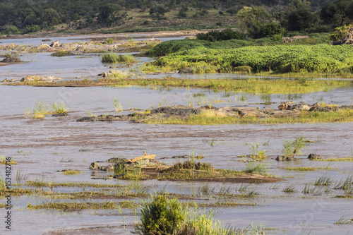 View over Olifants river at morning in Kruger Park