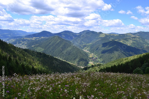 Carpathian mountains in Summer © Elena