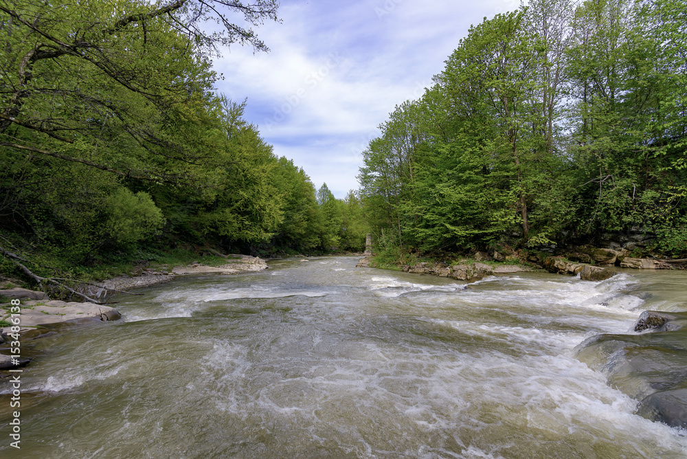 Stryj River Stryj River