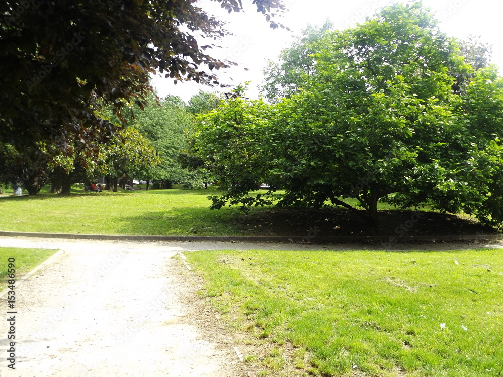 Fototapeta premium Legano parco