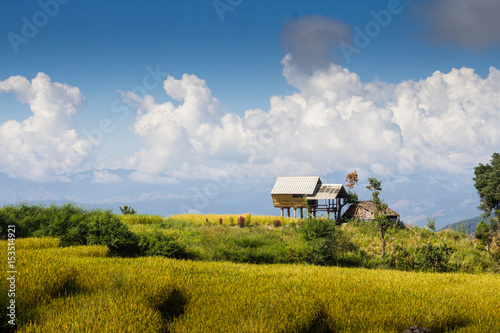 Wooden house on rice field over the mountain