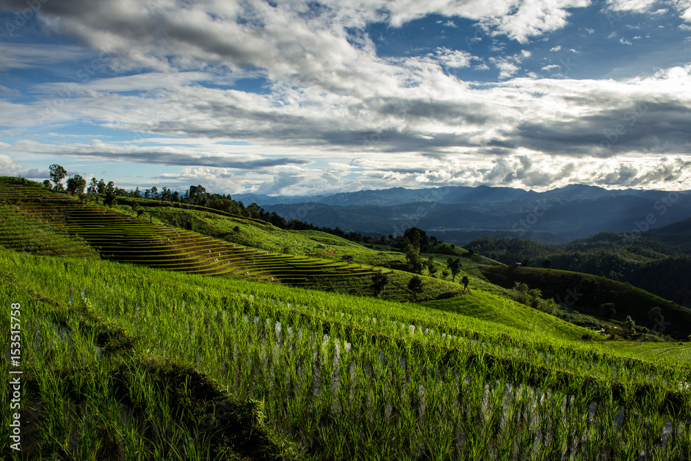 Fototapeta premium Green terraced rice field over the mountain