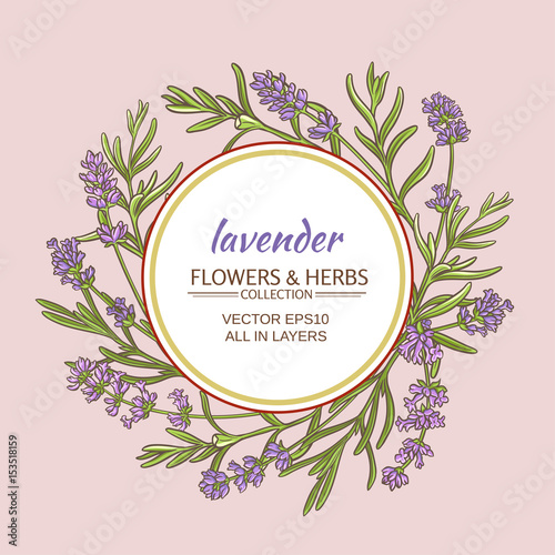 Fototapeta Naklejka Na Ścianę i Meble -  lavender vector  frame
