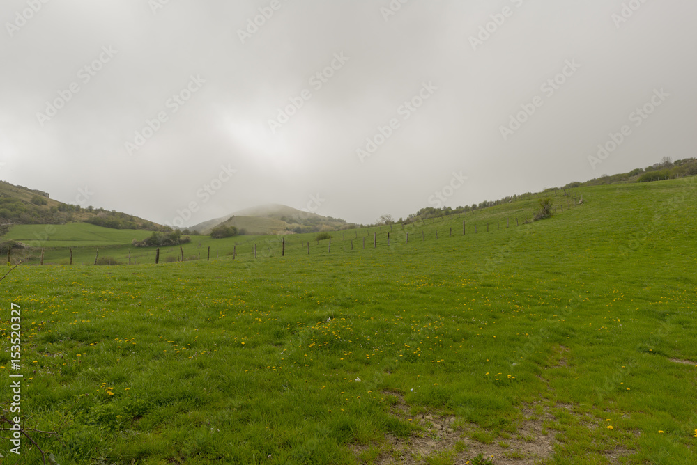 By the village of Argueso in the province of Cantabria