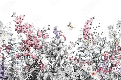 seamless rim. Border with Herbs and wild flowers, leaves. Botanical Illustration Colorful illustration on white background. Spring composition with butterfly