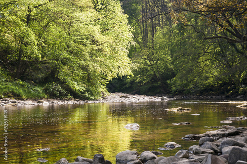 River Ure flowing through Hackfall Wood, North Yorkshire, England