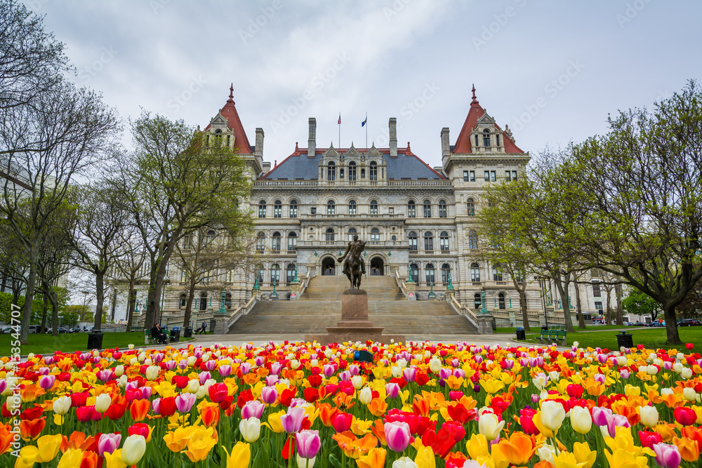 Obraz premium Tulips and The New York State Capitol, in Albany, New York.