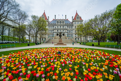 Tulips and The New York State Capitol, in Albany, New York. photo