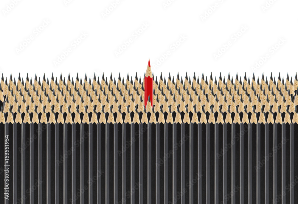 group of black pencil with one red pencil standing up isolated on white for education concept. group of black pencil with one red pencil standing up isolated on white for education concept.