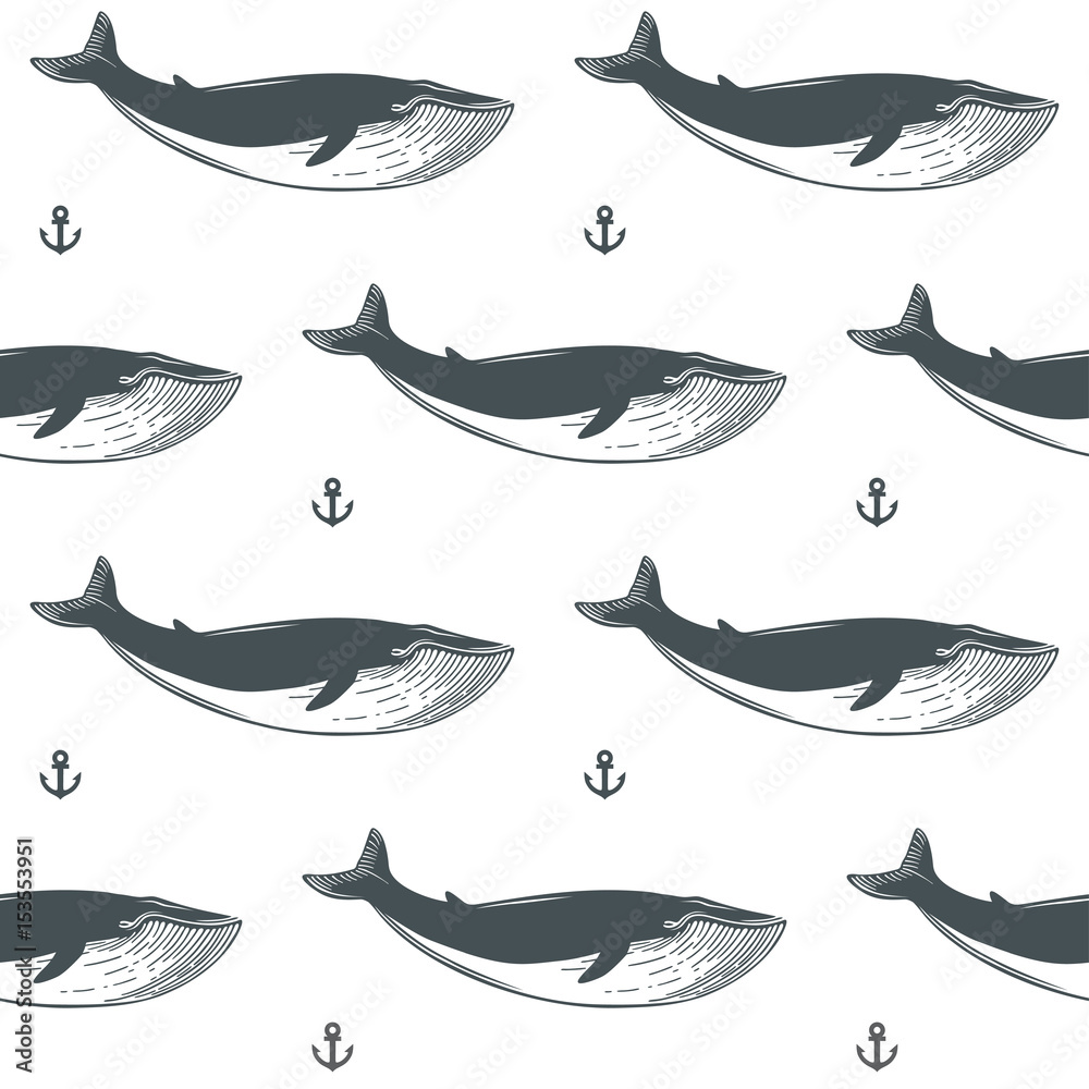 Fototapeta premium Nautical pattern with whales and anchors.Vector illustration.