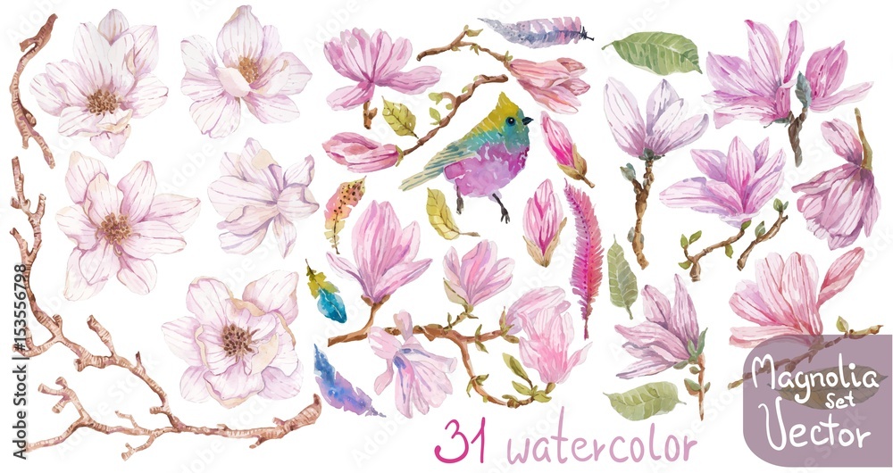 Naklejka premium Watercolor branches of magnolia, beautiful flowers over white