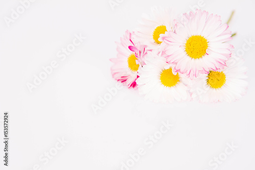 Daisies bouquet on a white background