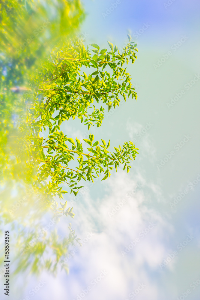 Artistic Spring background with blurry effect and blue sky