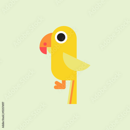 baby parrot