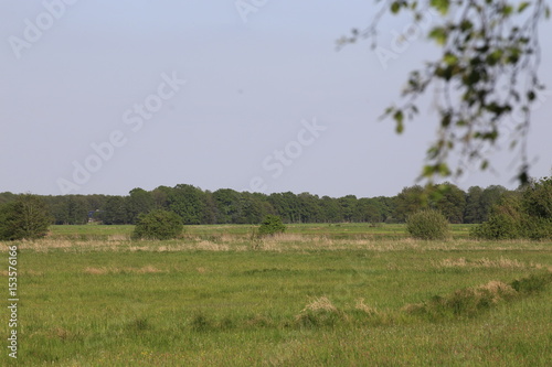 An der Hamme bei Tietjens Hütte