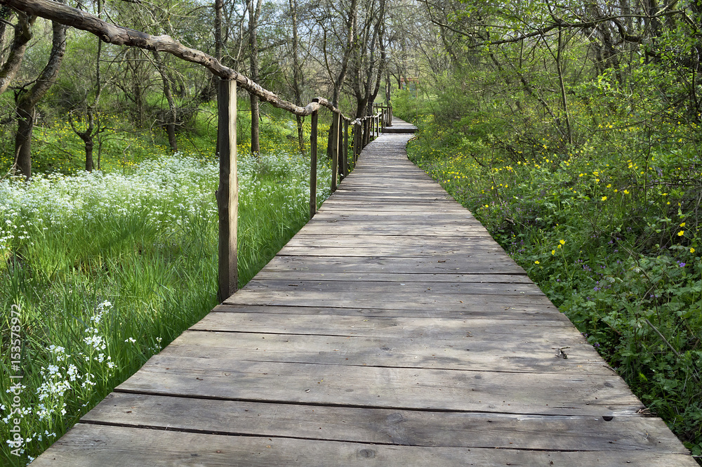 National Park Ropotamo Bulgaria. Wooden bridge leads to the Ropotamo river crossing green spring forest. National Park Ropotamo Bulgaria. Wooden bridge leads to the Ropotamo river crossing green spring forest.