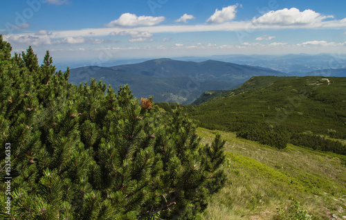 Babia gora mountain in Poland with stones, blue sky with white clouds plants