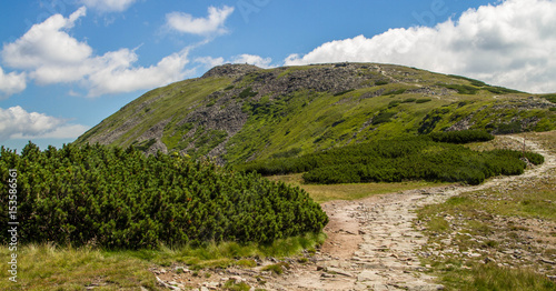 Babia gora mountain in Poland with stones, blue sky with white clouds plants