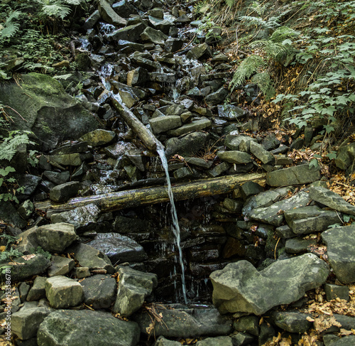 Waterfall with stones and green plants in mountain in forest