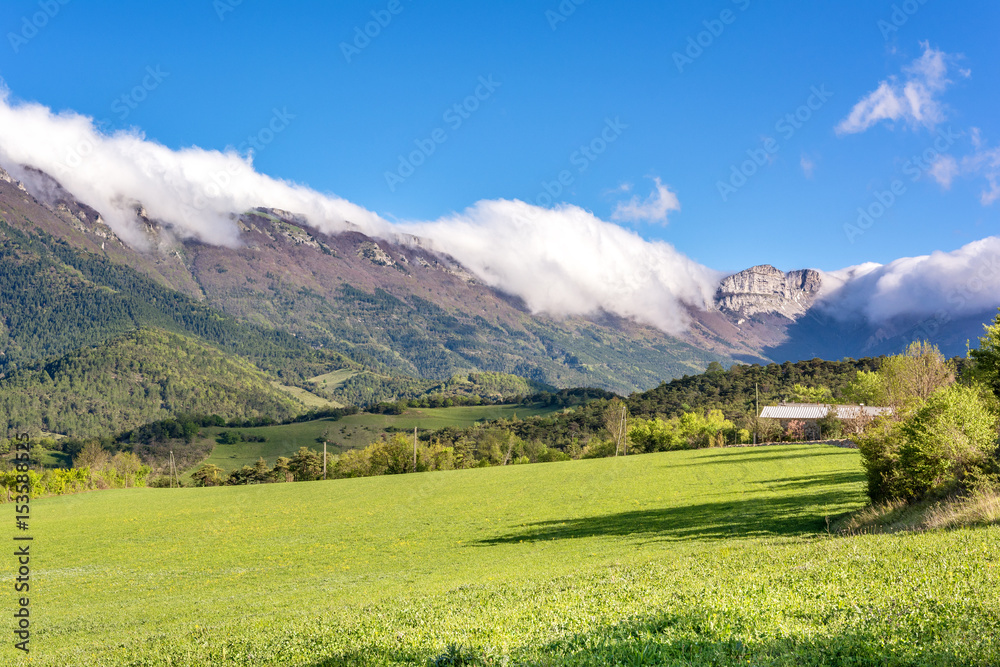 French countryside. Green meadow and mountains on a sunny morning in the park of Vercors, France