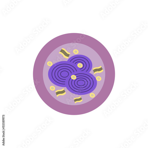 Pizza with onion.Vector illustration. simple pizza icon top view