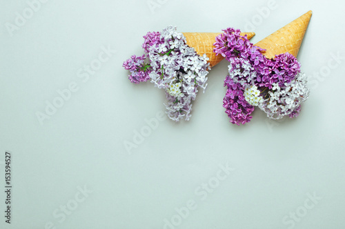 Fototapeta Naklejka Na Ścianę i Meble -  Ice cream waffle cones with lilac flowers