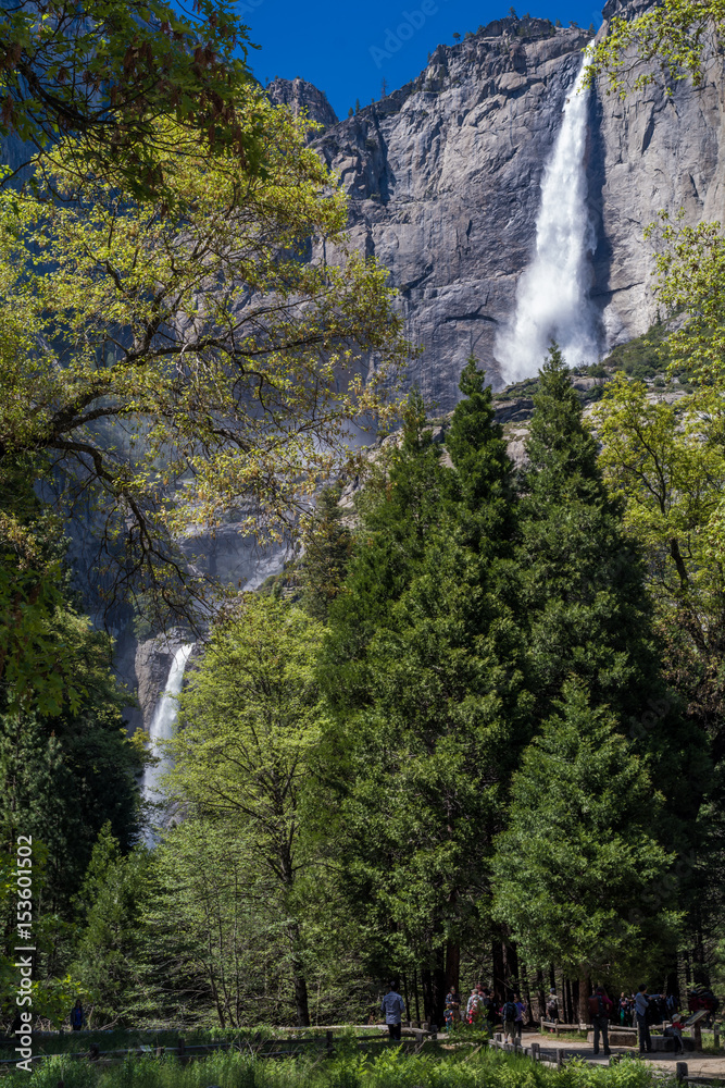 Yosemite Falls Yosemite Falls