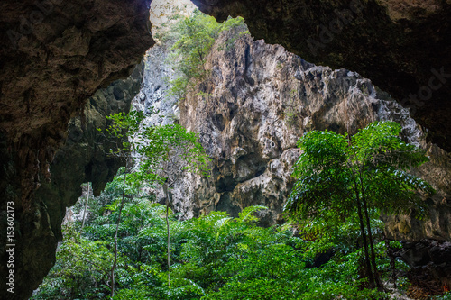 Vegetation and nature in Phraya Nakhon Cave