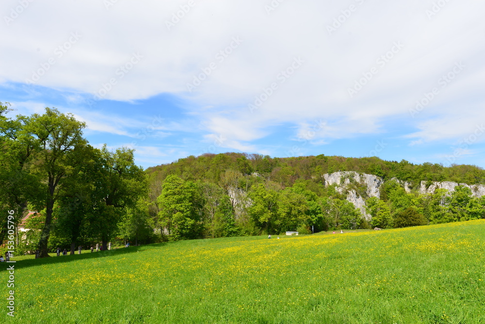 Blumenwiese in Kloster Weltenburg Niederbayern