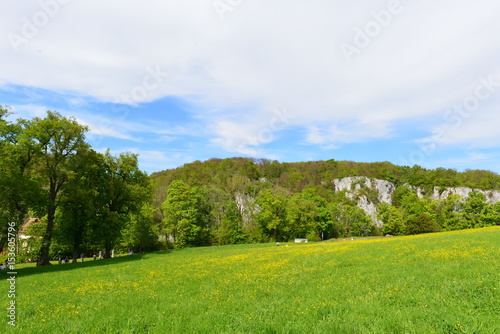 Blumenwiese in Kloster Weltenburg Niederbayern