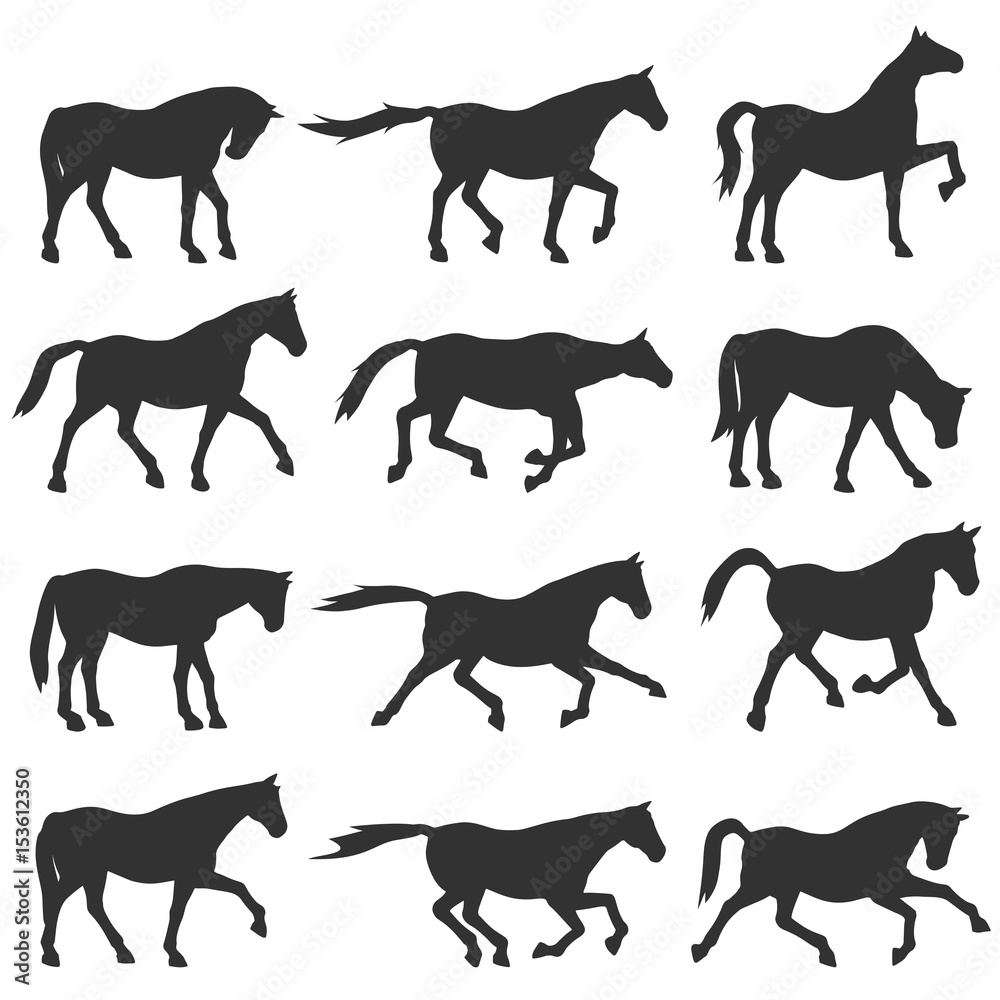 Horse silhouette set.