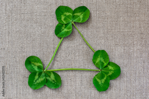 Green leaves of clover on the background of linen cloth.