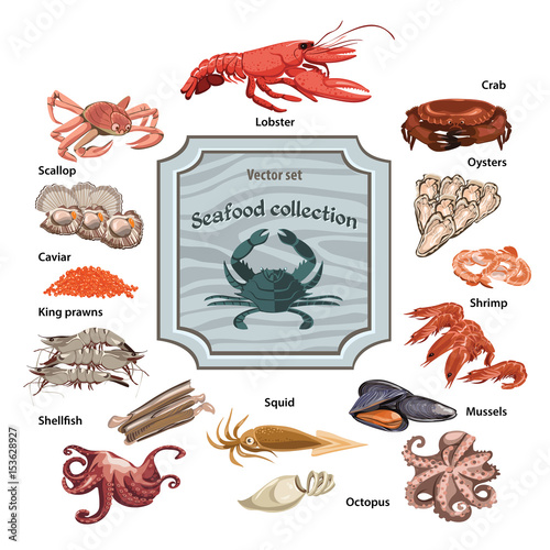 Colorful Hand Drawn Seafood Icons Set