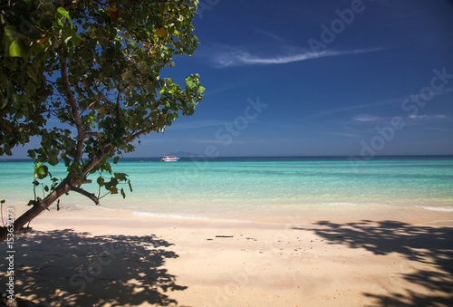 Fototapeta Naklejka Na Ścianę i Meble -  idillyic tropical hidden beach with white sand and palm trees on Bamboo island, Ko Phi Phi archipelago Thailand