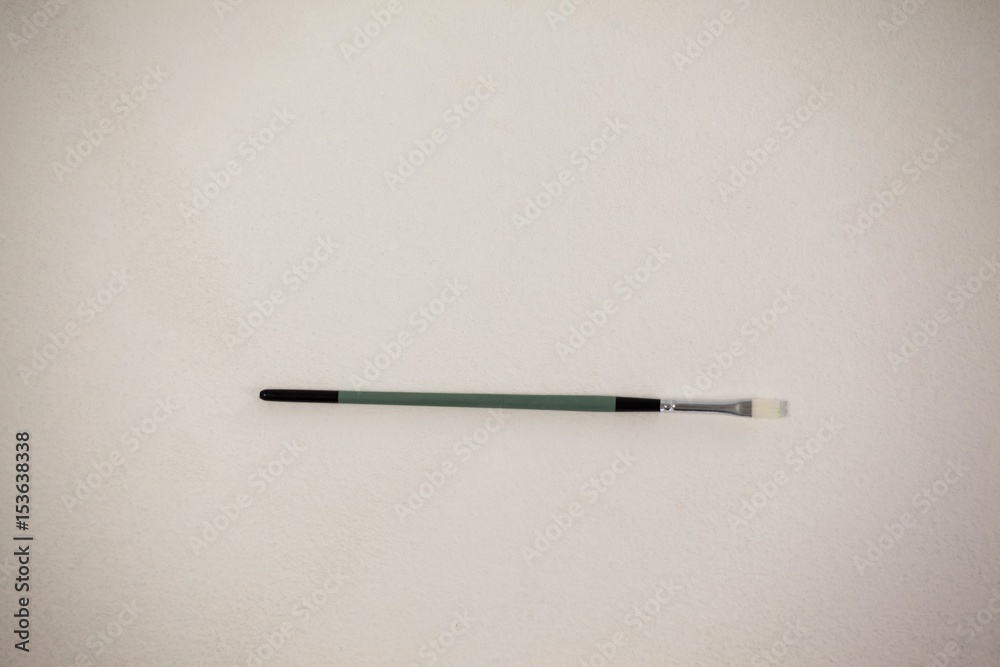 Fototapeta premium Round paint brush against white background