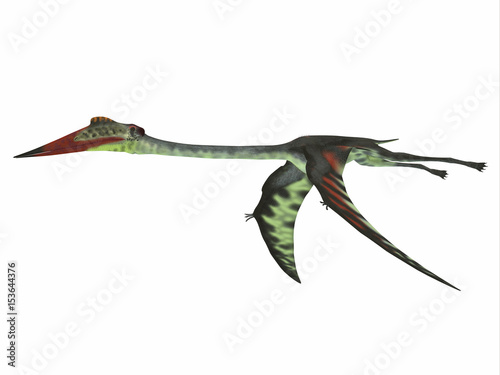 Quetzalcoatlus Wings Down - Quetzalcoatlus was a carnivorous pterosaur reptile that lived in the Cretaceous Period of North America. photo