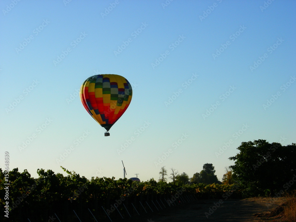 Naklejka premium Hot Air Balloon