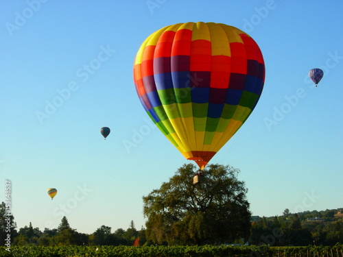Hot Air Balloon © Cyndi