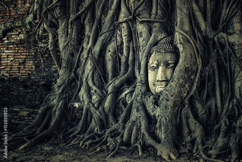Buddha head in wat Mahathat Ayutthaya