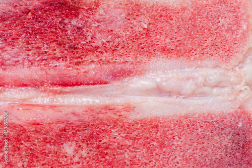 Pork bone isolated on white background.