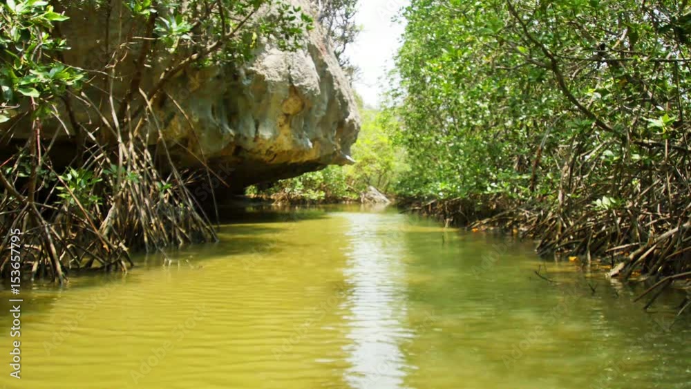 Water naturally beautiful mangrove forest. Water naturally beautiful mangrove forest.