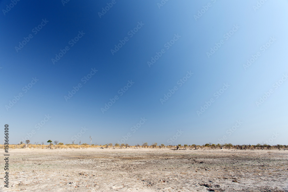 Fototapeta premium Okavango Delta - Moremi N.P.