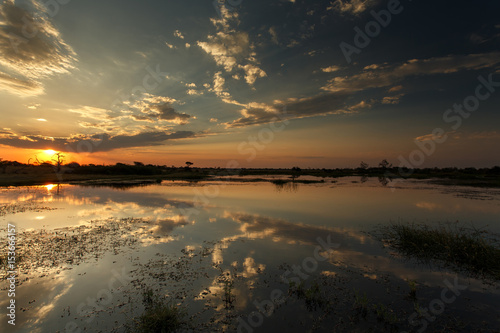 Okavango Delta  Africa