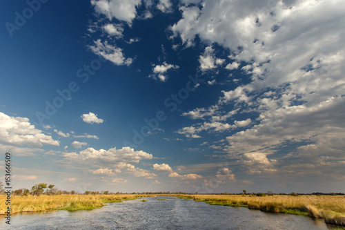 Okavango Delta  Africa