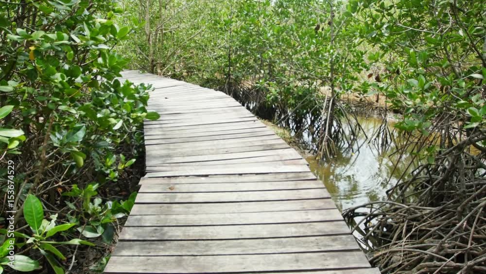 Wooden bridge walkway overlooking the mangrove area. Wooden bridge walkway overlooking the mangrove area.